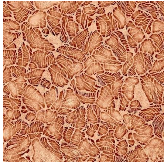 Ковролин Принт Восход 044P-55